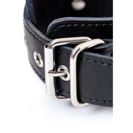 Фиксатор рук и ног ToyFa Theatre